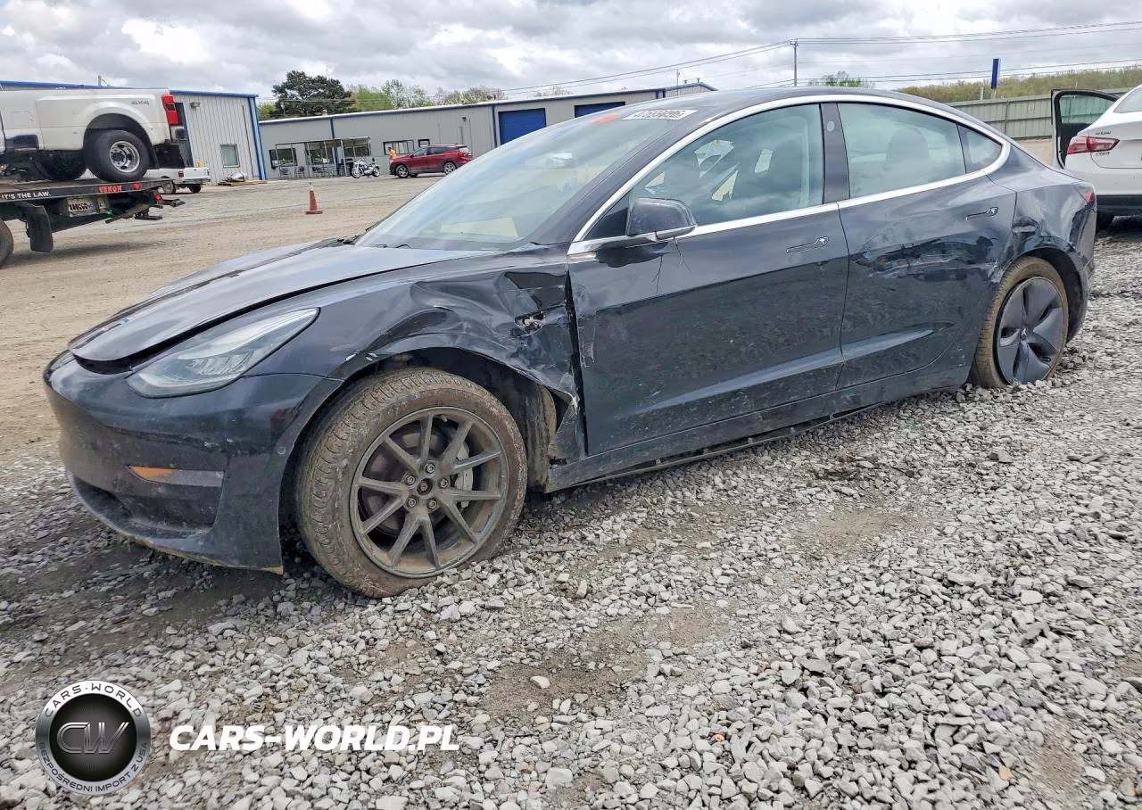 2019 Tesla 3