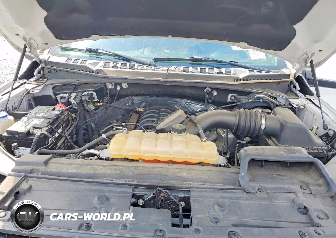 2019 Ford F150 VIN:1FTEW1E59KFA69011 - 11