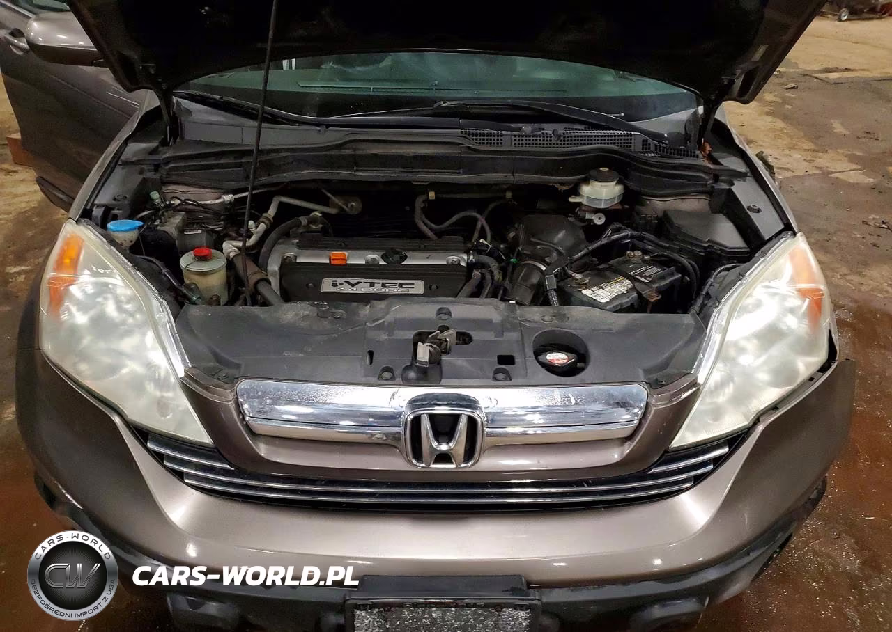 2009 Honda Cr-V Exl VIN:5J6RE48759L017464 - 12