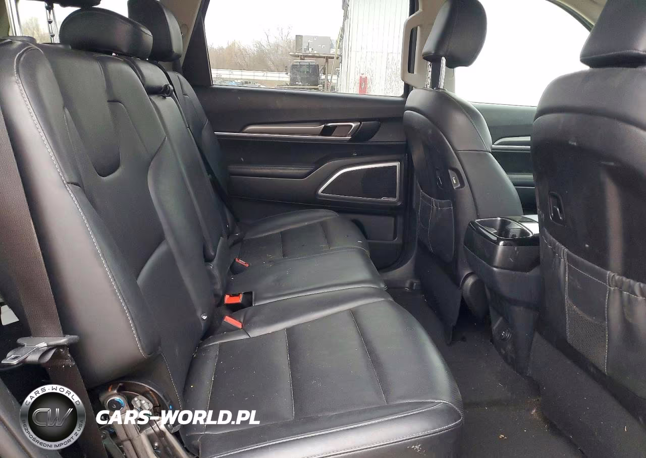 2021 Kia Telluride Lx VIN:5XYP24HC8MG115220 - 11