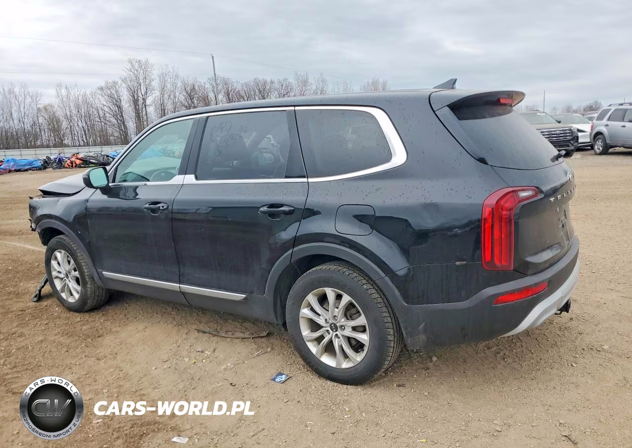 2021 Kia Telluride Lx VIN:5XYP24HC8MG115220 - 2