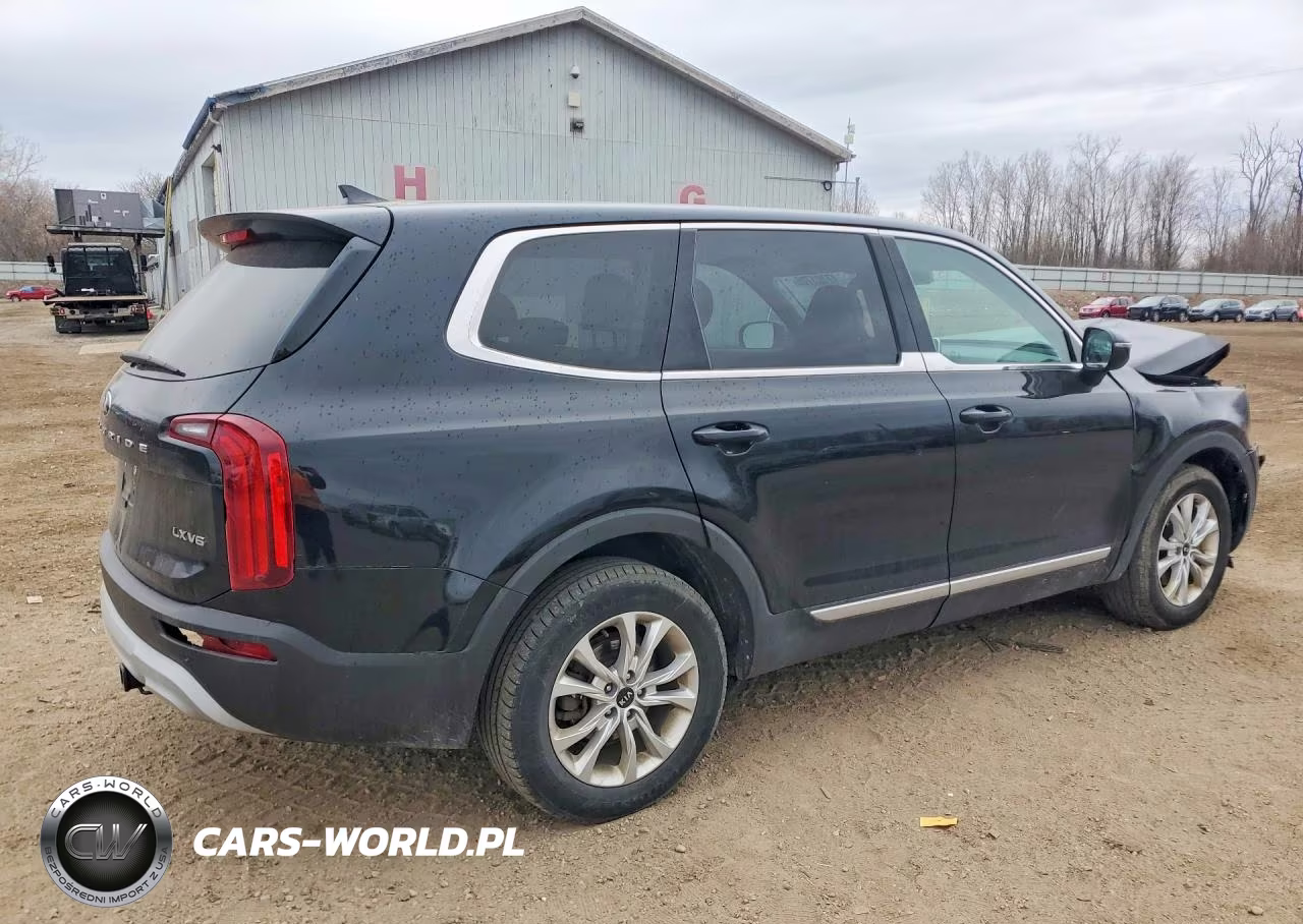 2021 Kia Telluride Lx VIN:5XYP24HC8MG115220 - 3