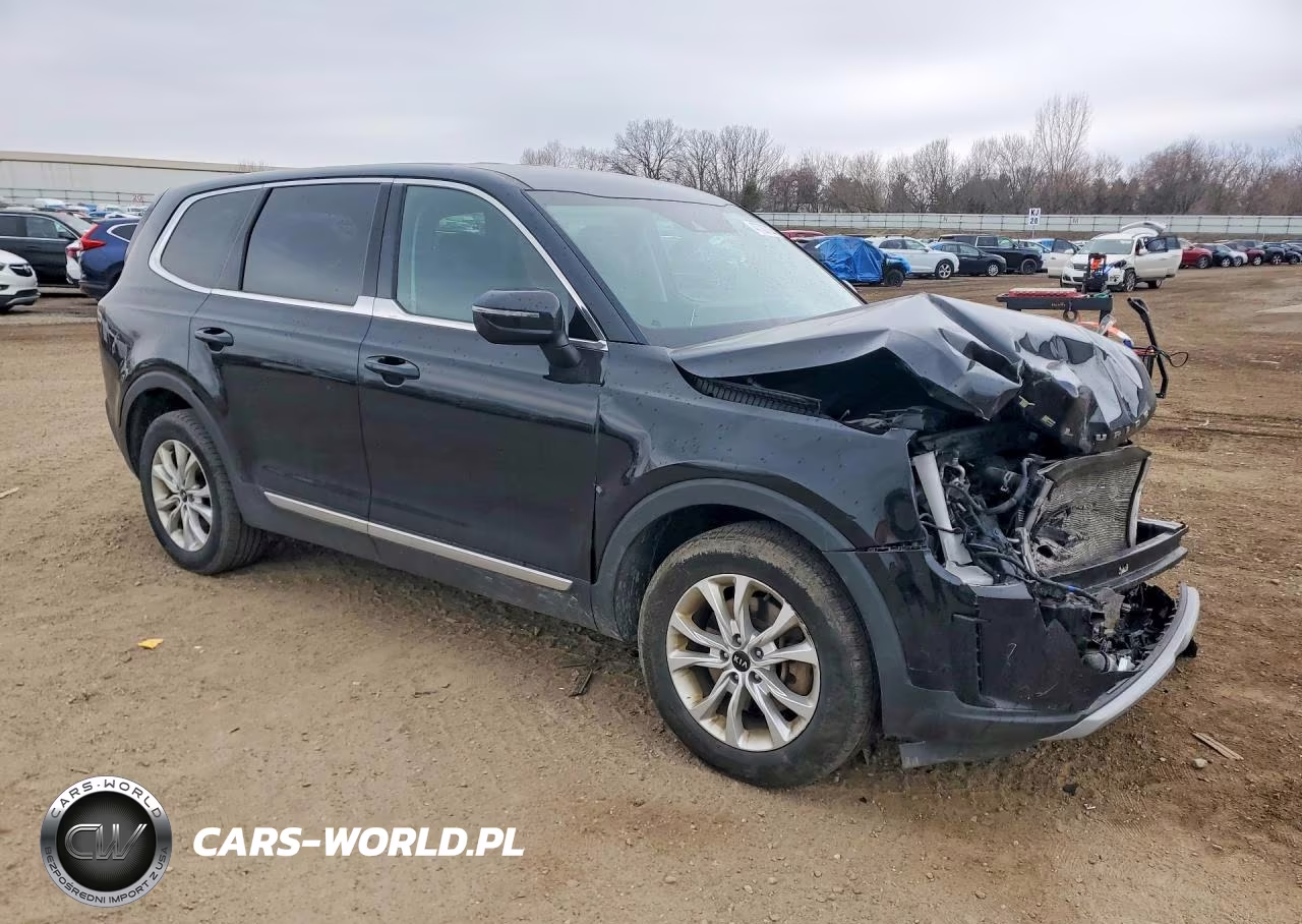 2021 Kia Telluride Lx VIN:5XYP24HC8MG115220 - 4