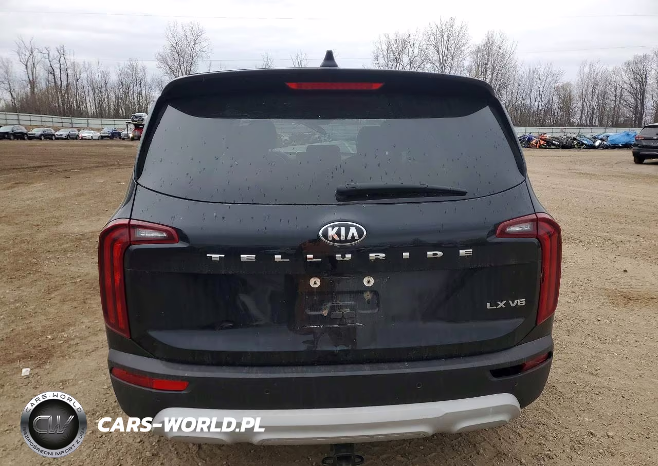 2021 Kia Telluride Lx VIN:5XYP24HC8MG115220 - 6