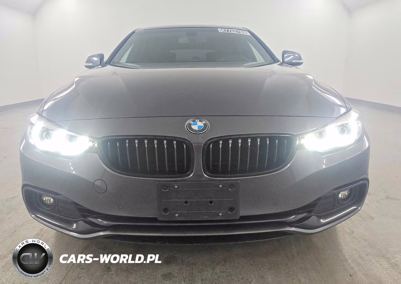 2019 BMW 430I Gran Coupe VIN:WBA4J1C53KBM17869 - 5