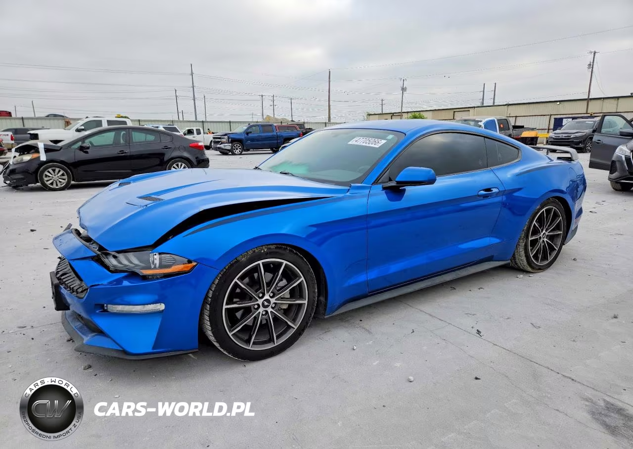 2019 Ford Mustang