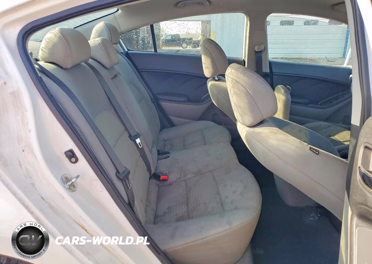 2014 Kia Forte Lx VIN:KNAFX4A63E5250873 - 10
