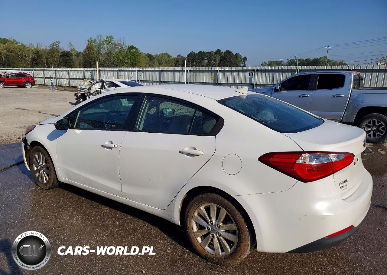 2014 Kia Forte Lx VIN:KNAFX4A63E5250873 - 2