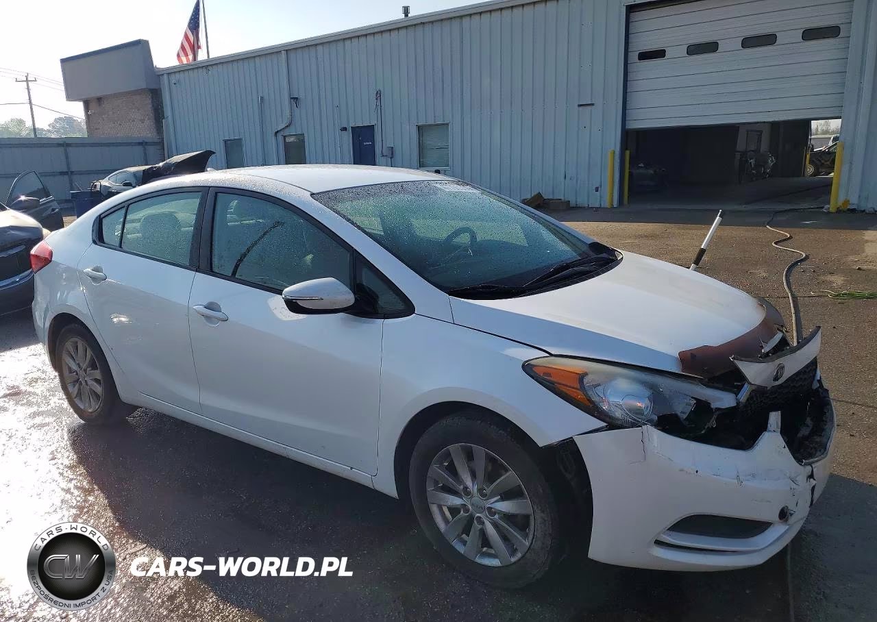 2014 Kia Forte Lx VIN:KNAFX4A63E5250873 - 4