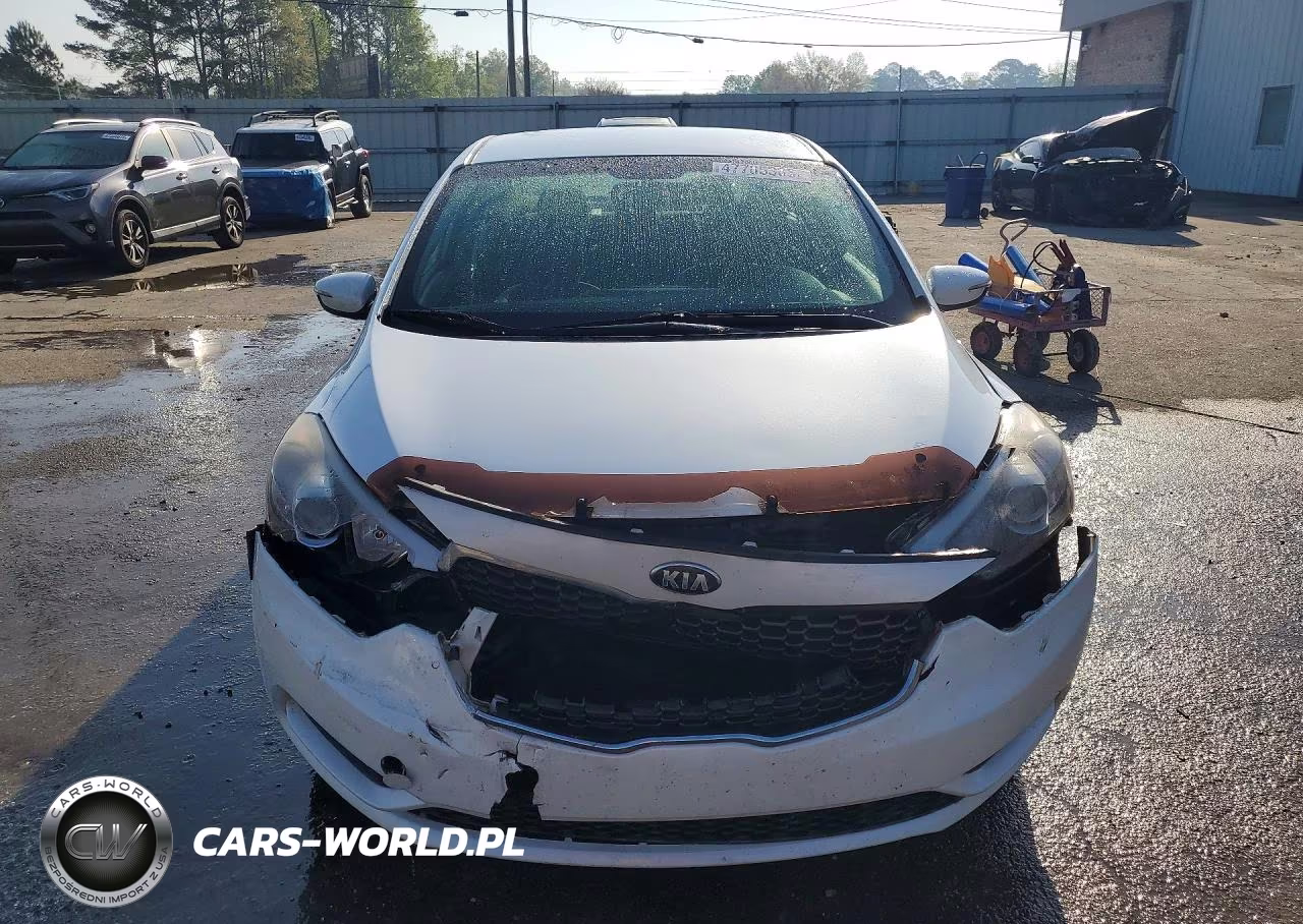 2014 Kia Forte Lx VIN:KNAFX4A63E5250873 - 5