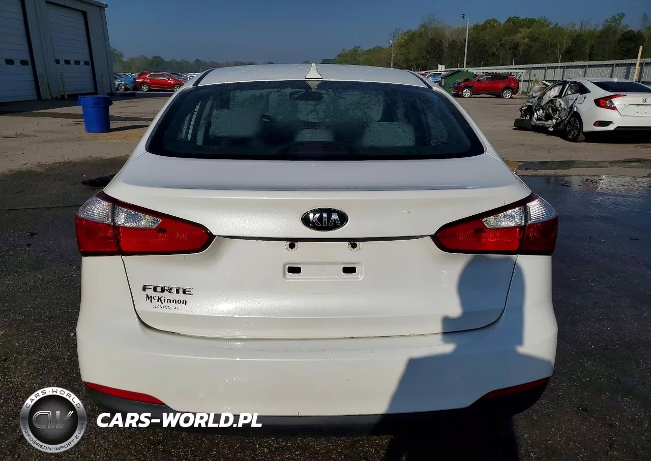 2014 Kia Forte Lx VIN:KNAFX4A63E5250873 - 6