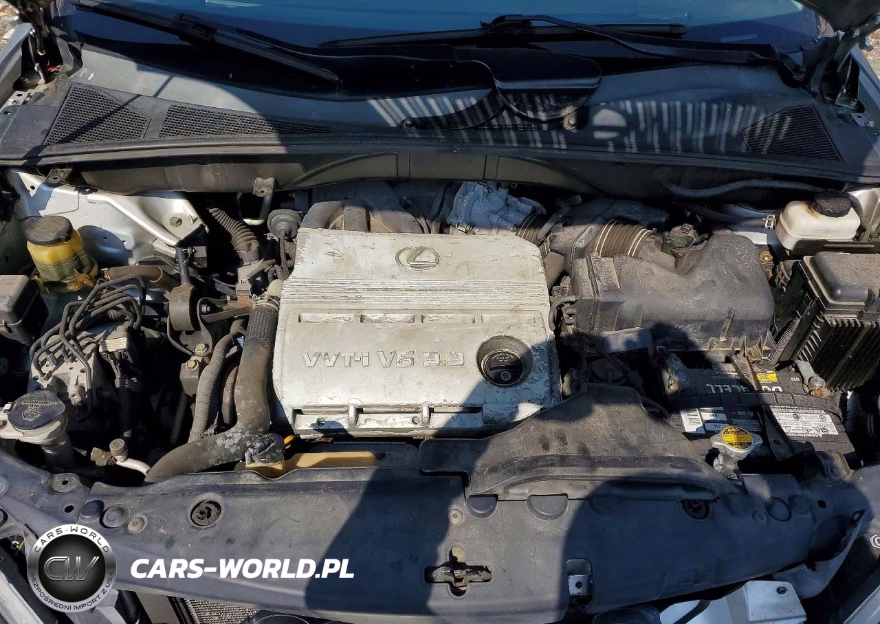 2004 Lexus Rx 330 Base VIN:2T2GA31U04C002496 - 12