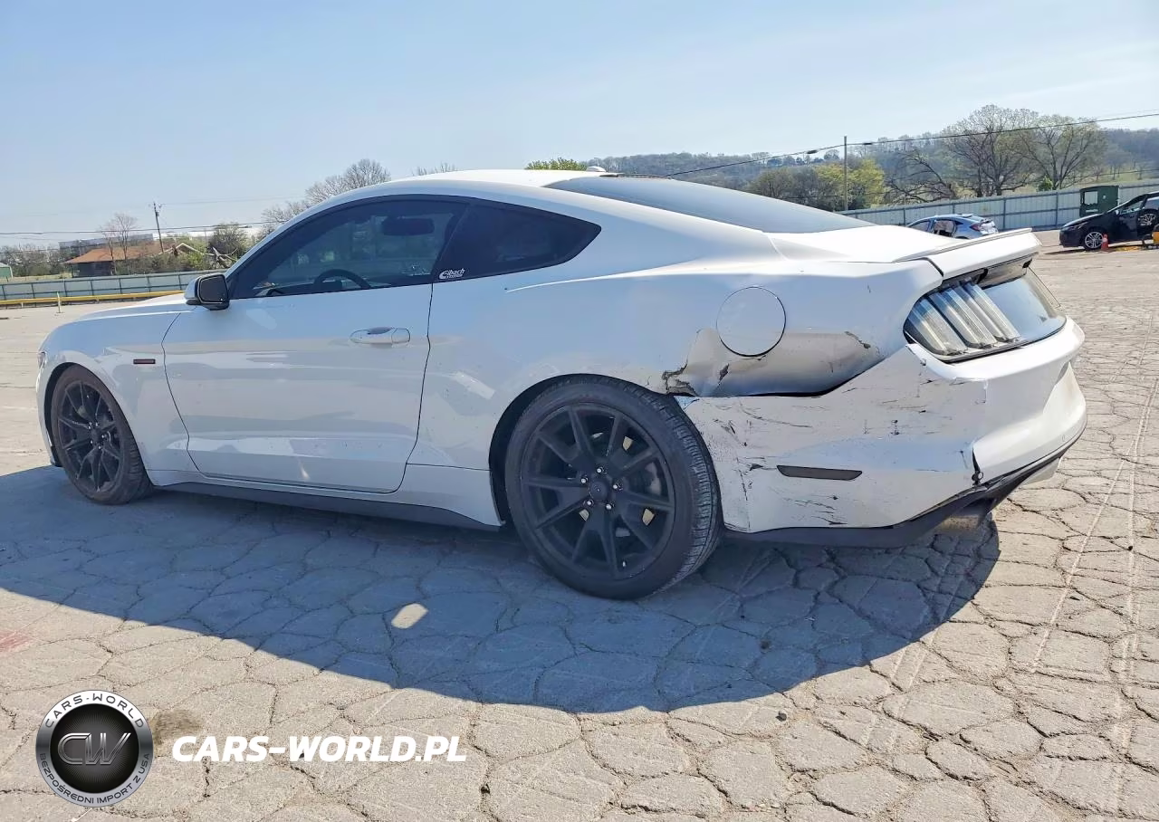 2015 Ford Mustang VIN:1FA6P8TH5F5310216 - 2
