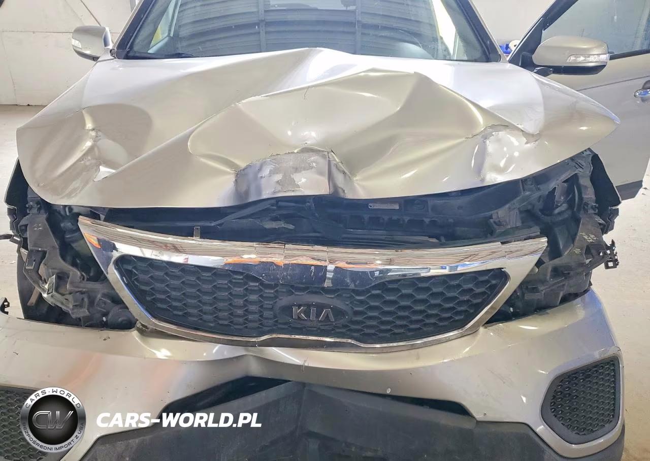 2013 Kia Sorento Lx VIN:5XYKT3A17DG314365 - 12