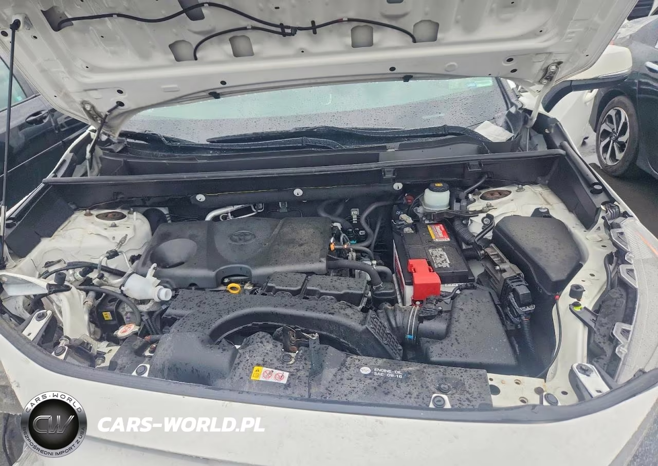 2019 Toyota Rav4 Le VIN:JTMG1RFV0KD021445 - 11