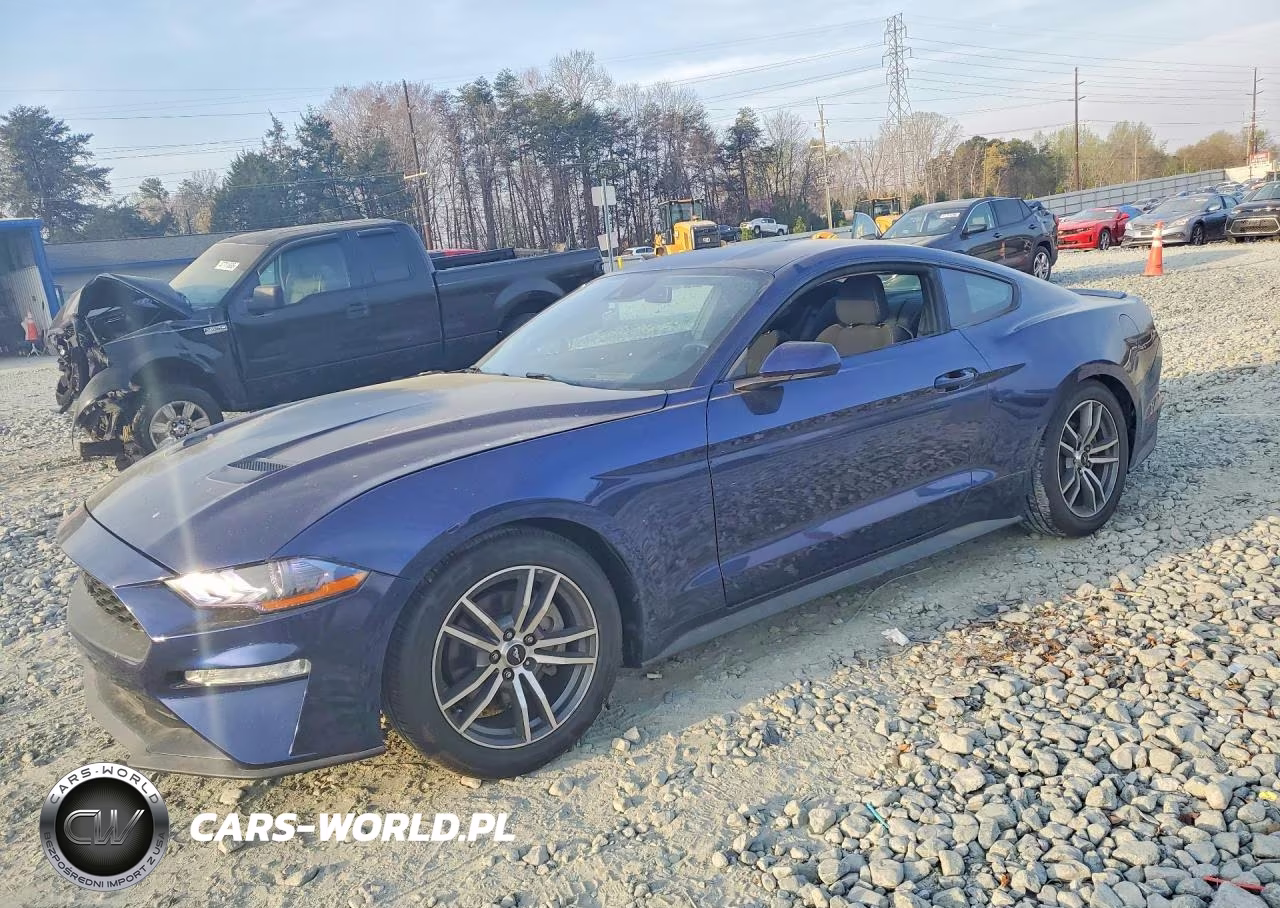 2019 Ford Mustang