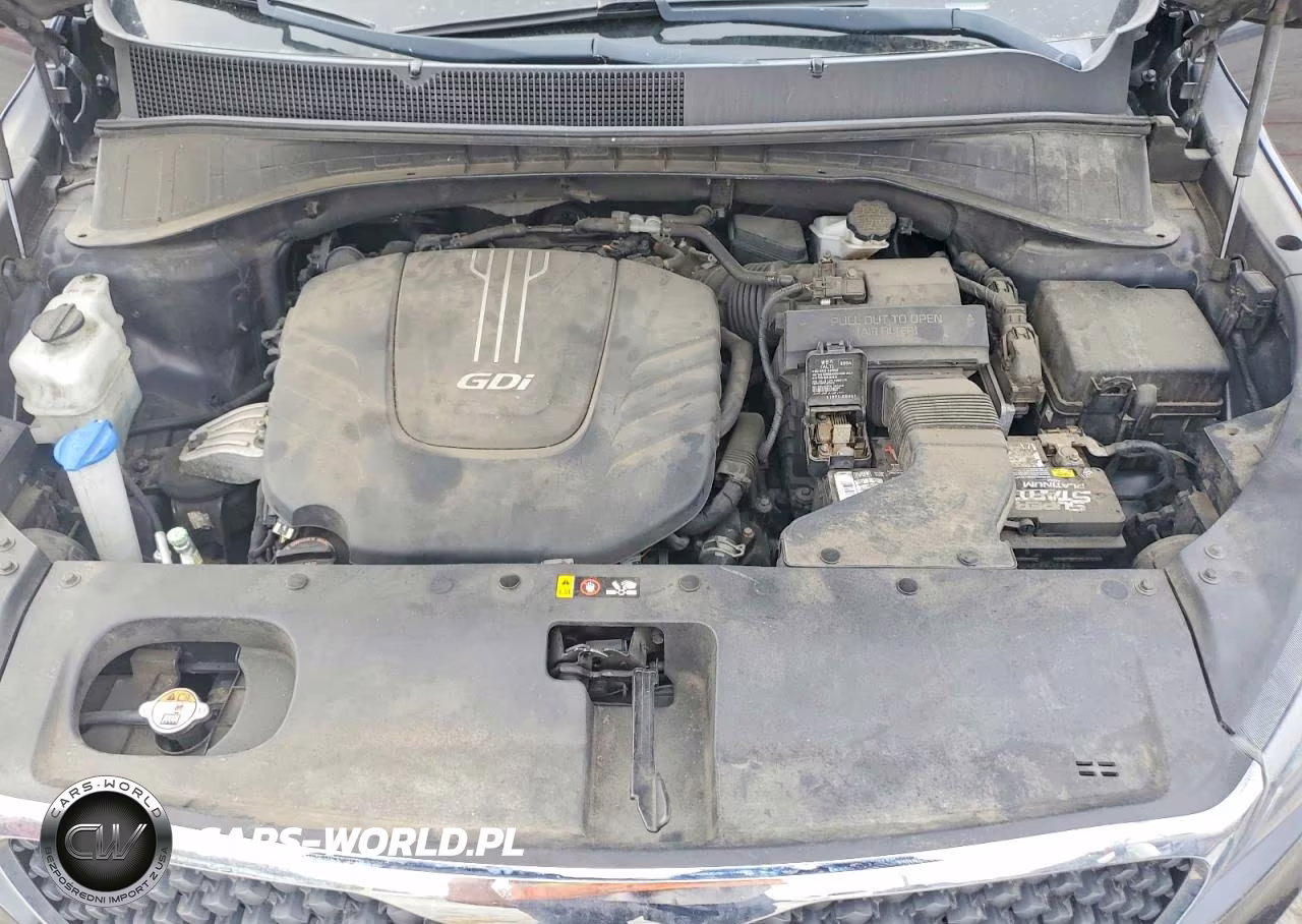 2017 Kia Sorento Lx V6 VIN:5XYPGDA5XHG302994 - 12