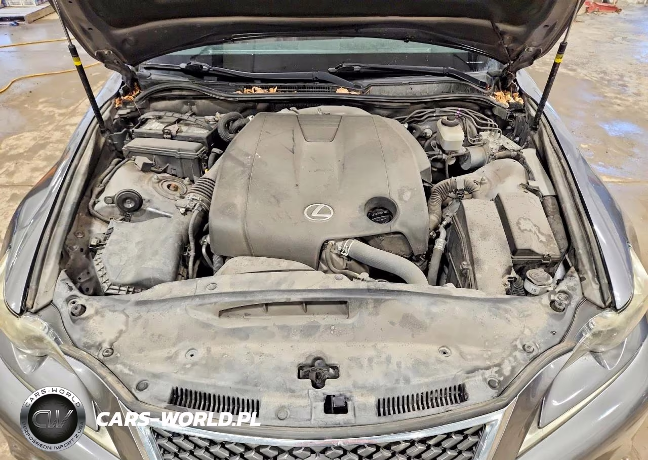 2015 Lexus Is 250 Base VIN:JTHBF1D21F5045855 - 11
