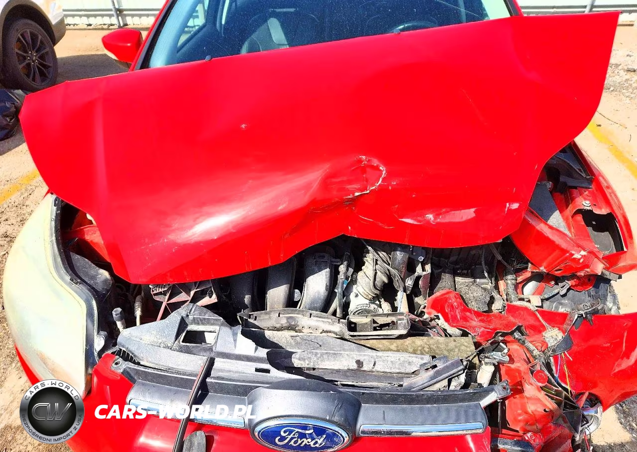 2014 Ford Focus Se VIN:1FADP3K21EL102724 - 11