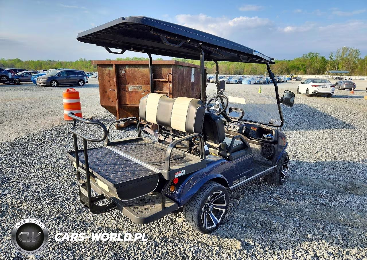 2025 Evolution Golf Cart VIN:EVBE0346939 - 4