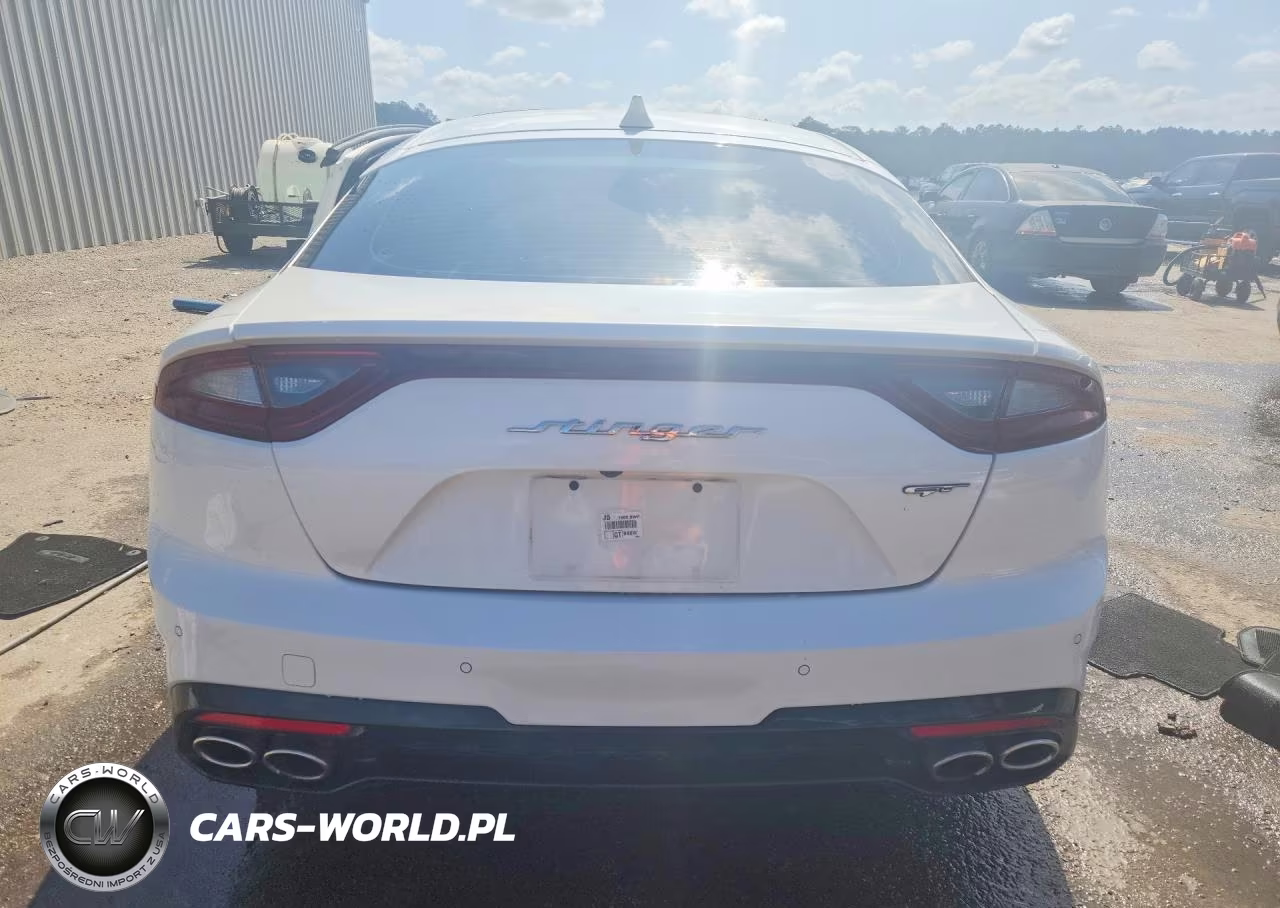2020 Kia Stinger Gt1 VIN:KNAE45LC6L6072008 - 6