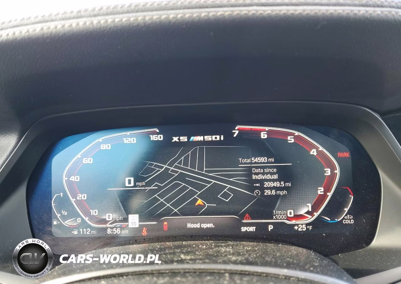 2021 BMW X5 M50I VIN:5UXJU4C05M9F51619 - 9