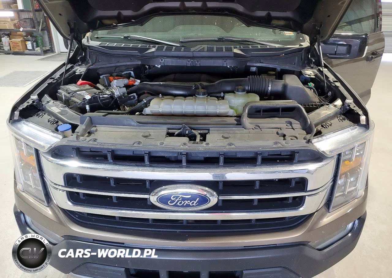 2021 Ford F150 Supercrew VIN:1FTFW1ED7MFA29623 - 11