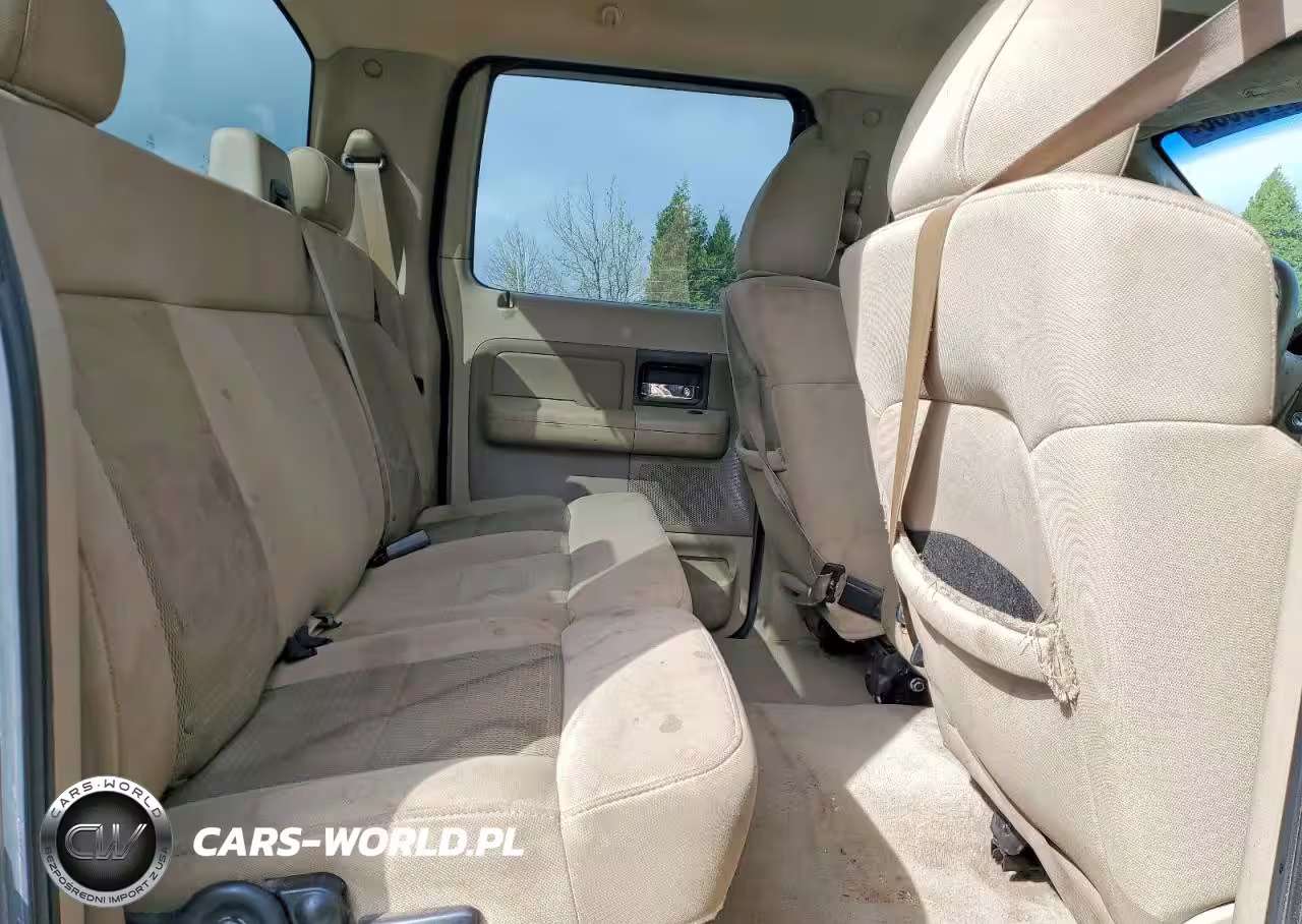 2006 Ford F150 Supercrew VIN:1FTPW145X6KB49781 - 10