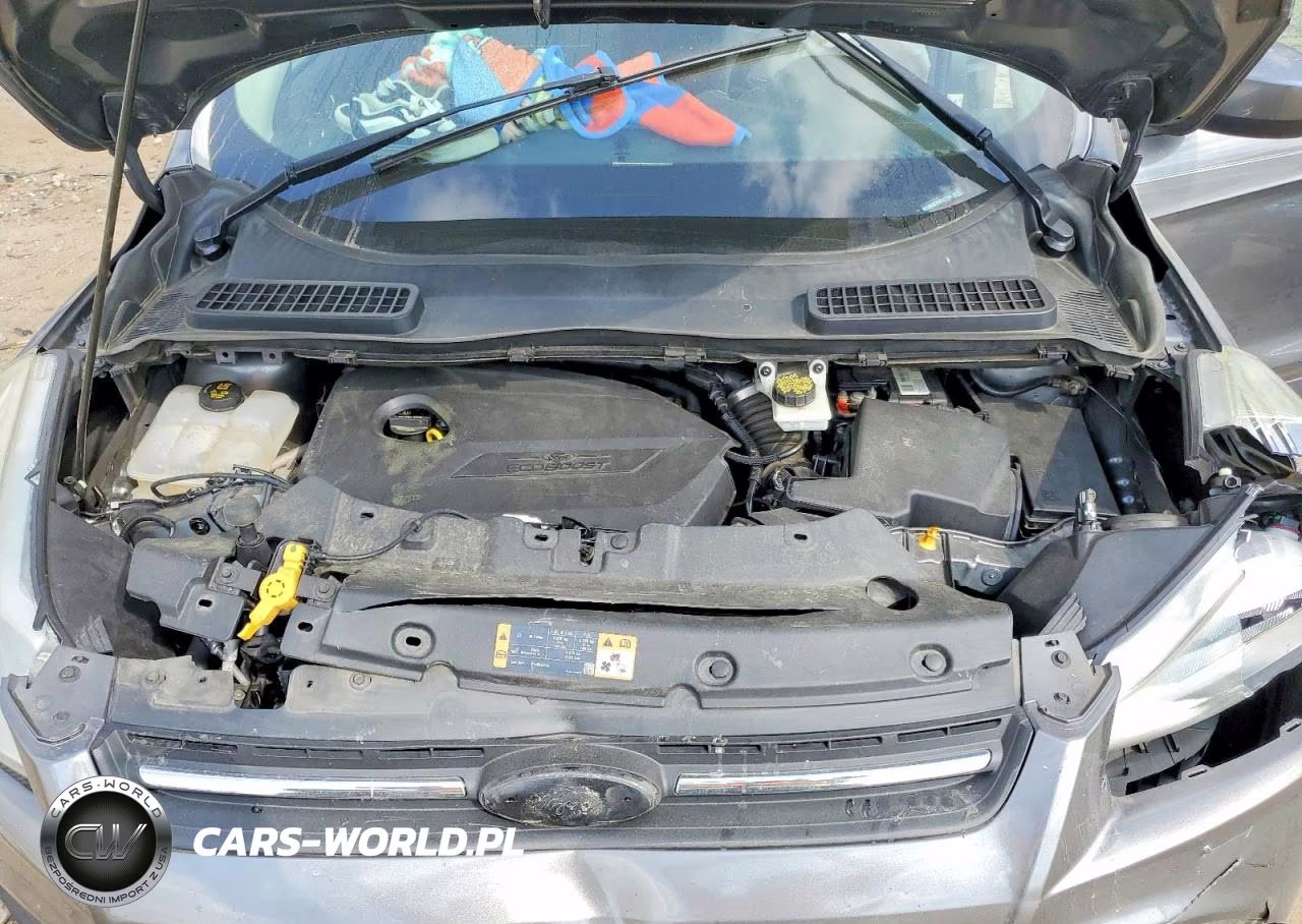 2014 Ford Escape Se VIN:1FMCU0GX1EUE47338 - 12
