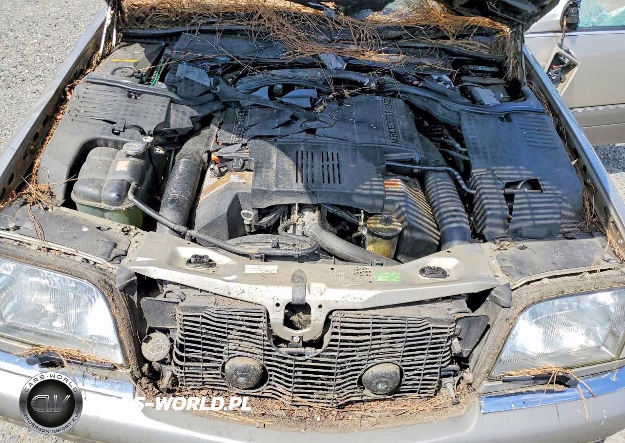1995 Mercedes-Benz S 500 VIN:WDBGA51EXSA275308 - 11
