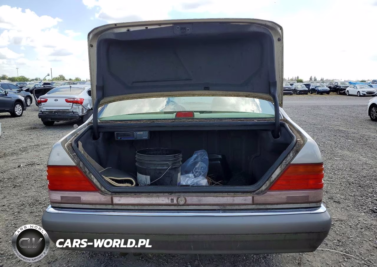 1995 Mercedes-Benz S 500 VIN:WDBGA51EXSA275308 - 6