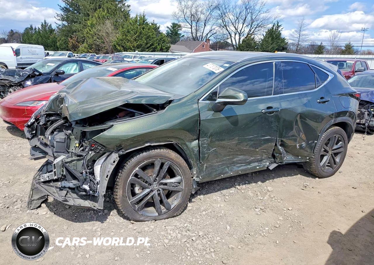 2023 Lexus Nx 450H+ Base