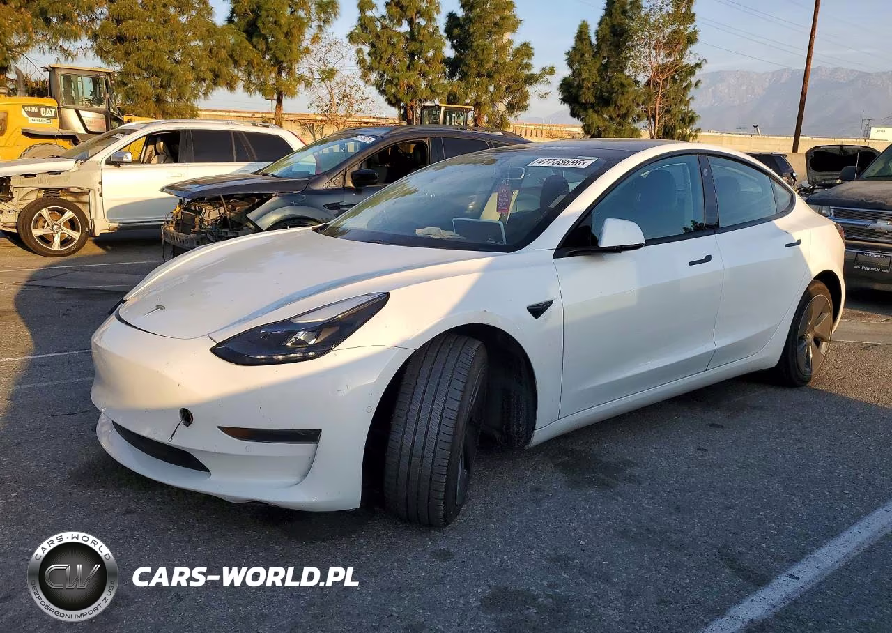 2021 Tesla Model 3