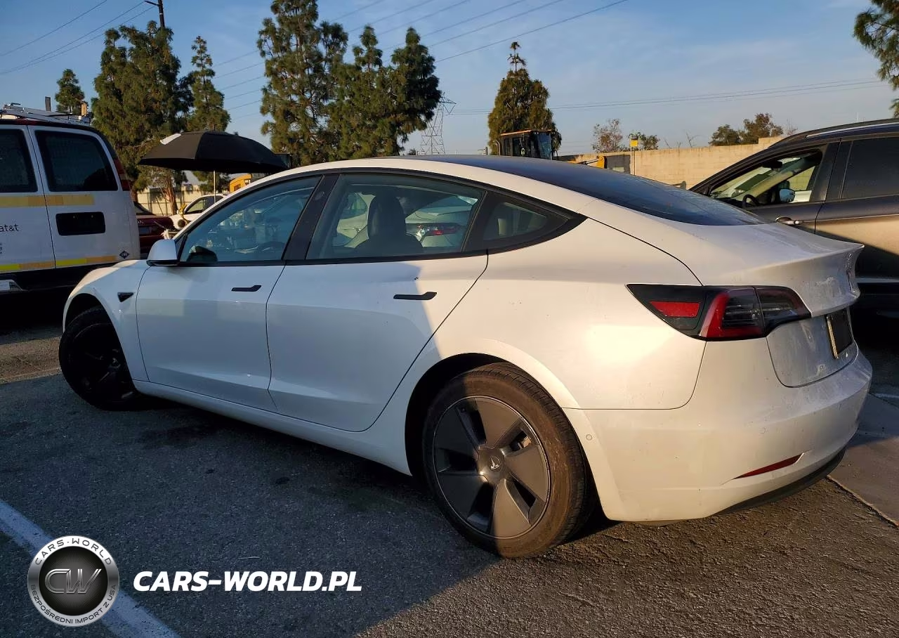 2021 Tesla Model 3 VIN:5YJ3E1EA0MF871820 - 2