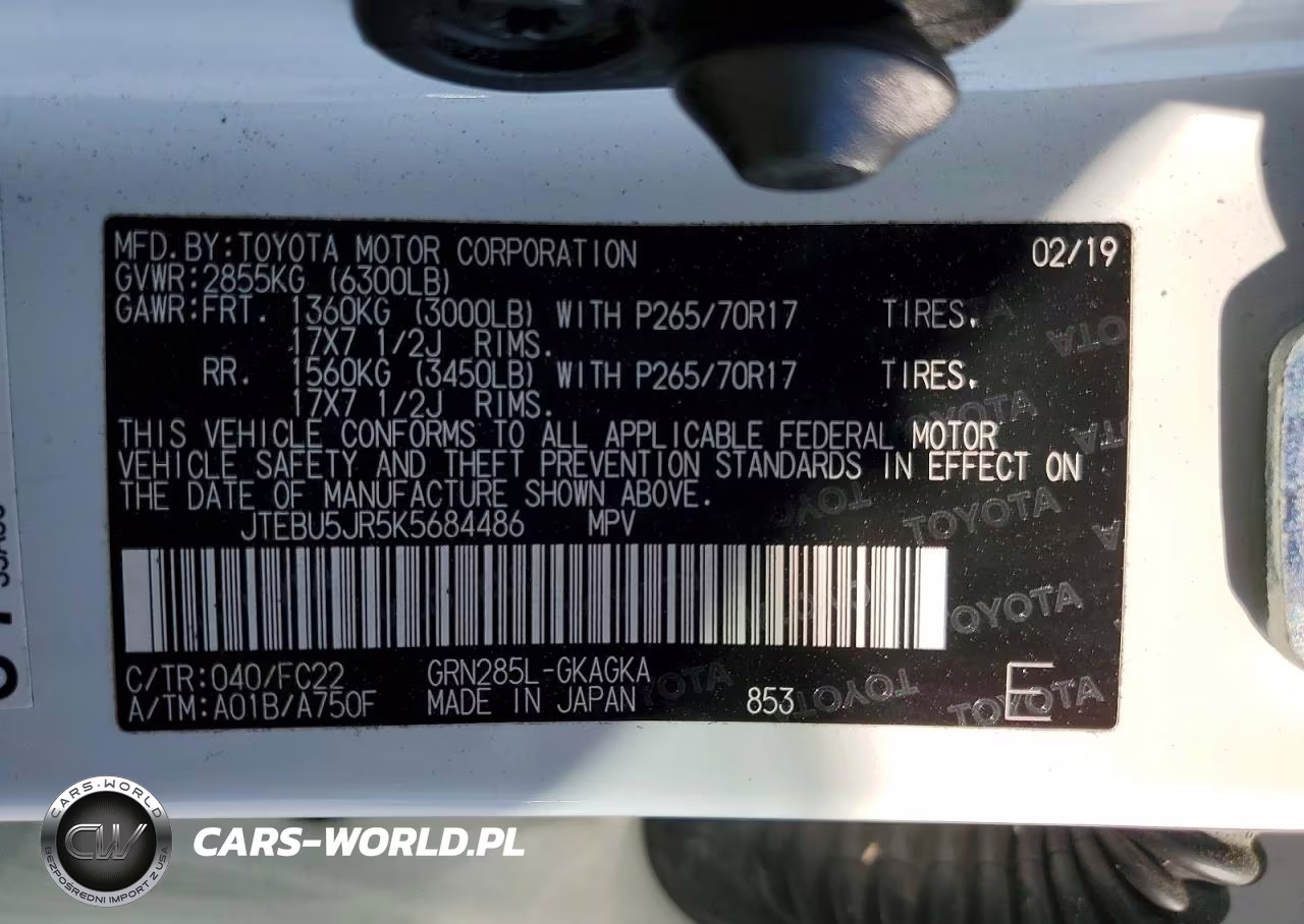 2019 Toyota 4Runner Trd Off-Road VIN:JTEBU5JR5K5684486 - 13