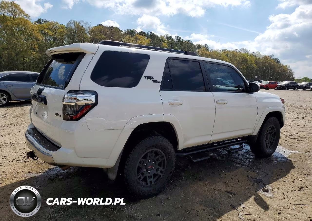 2019 Toyota 4Runner Trd Off-Road VIN:JTEBU5JR5K5684486 - 3
