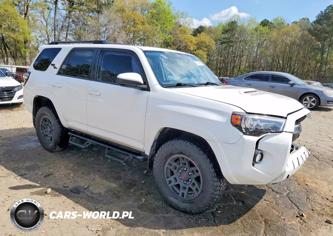 2019 Toyota 4Runner Trd Off-Road VIN:JTEBU5JR5K5684486 - 4