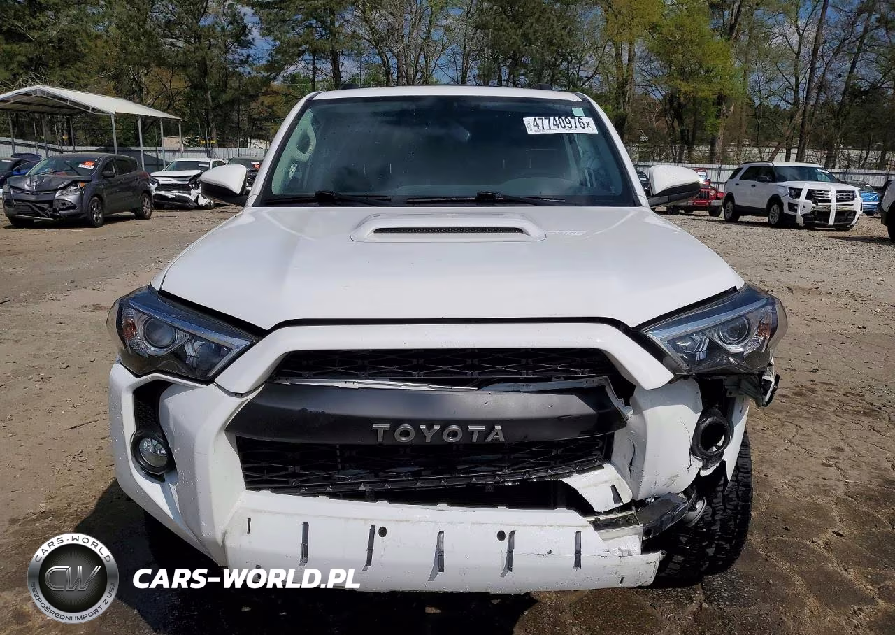 2019 Toyota 4Runner Trd Off-Road VIN:JTEBU5JR5K5684486 - 5