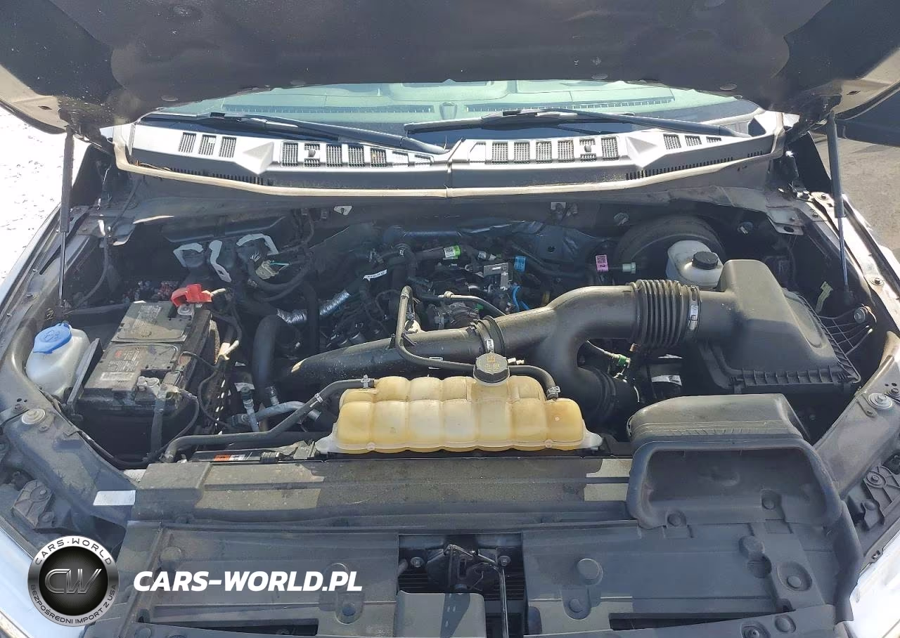 2020 Ford F150 Supercrew VIN:1FTEW1CP0LKF44171 - 11