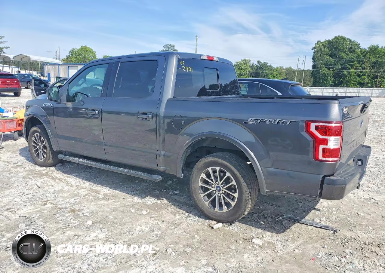 2020 Ford F150 Supercrew VIN:1FTEW1CP0LKF44171 - 2