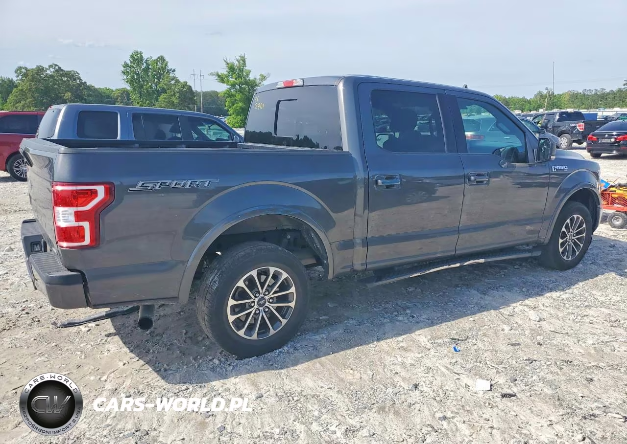 2020 Ford F150 Supercrew VIN:1FTEW1CP0LKF44171 - 3