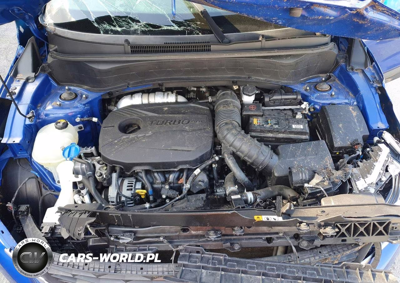 2021 Kia Seltos Sx Turbo VIN:KNDETCA22M7106381 - 12