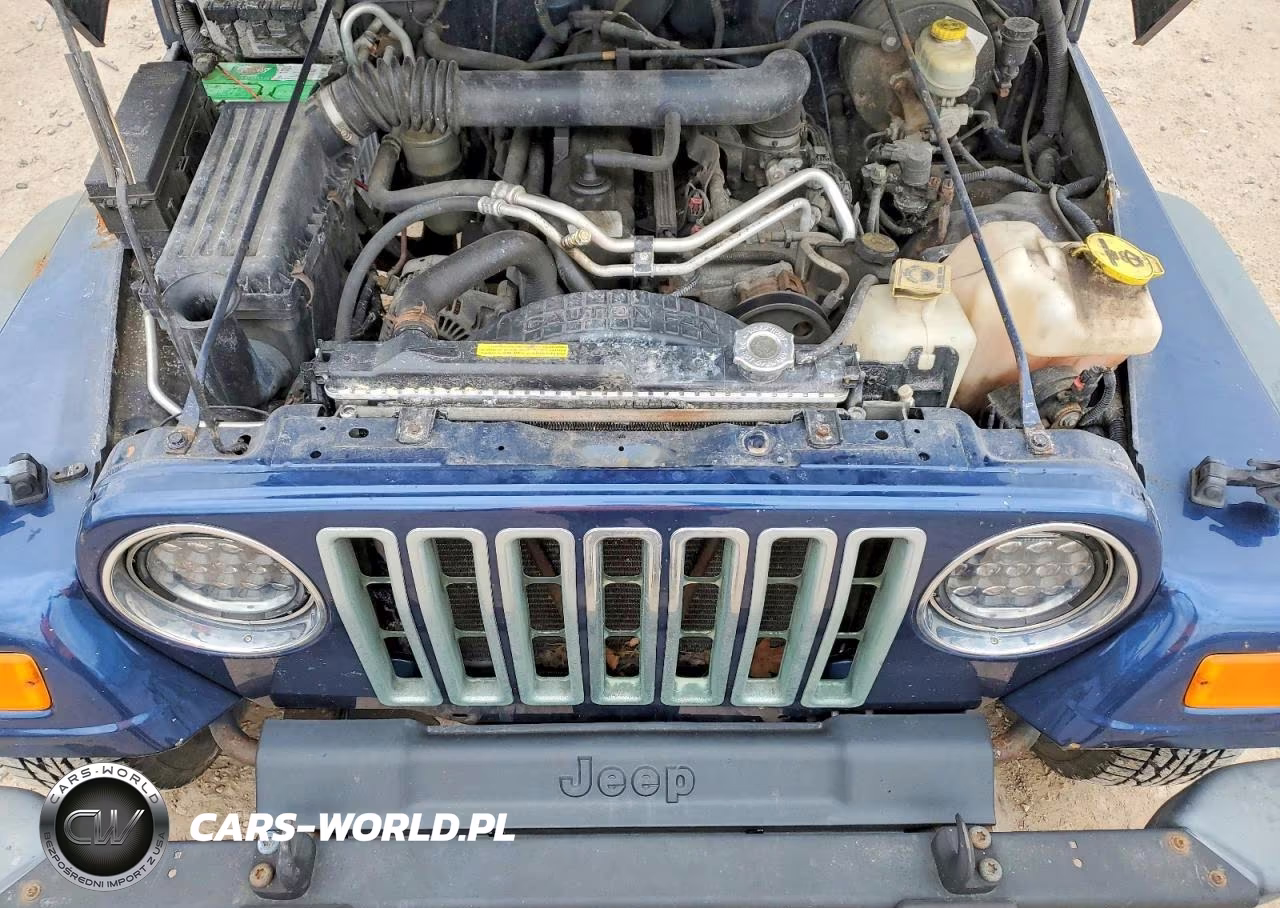 2004 Jeep Wrangler X VIN:1J4FA39S64P786228 - 12