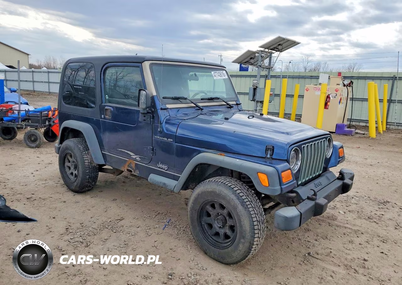 2004 Jeep Wrangler X VIN:1J4FA39S64P786228 - 4