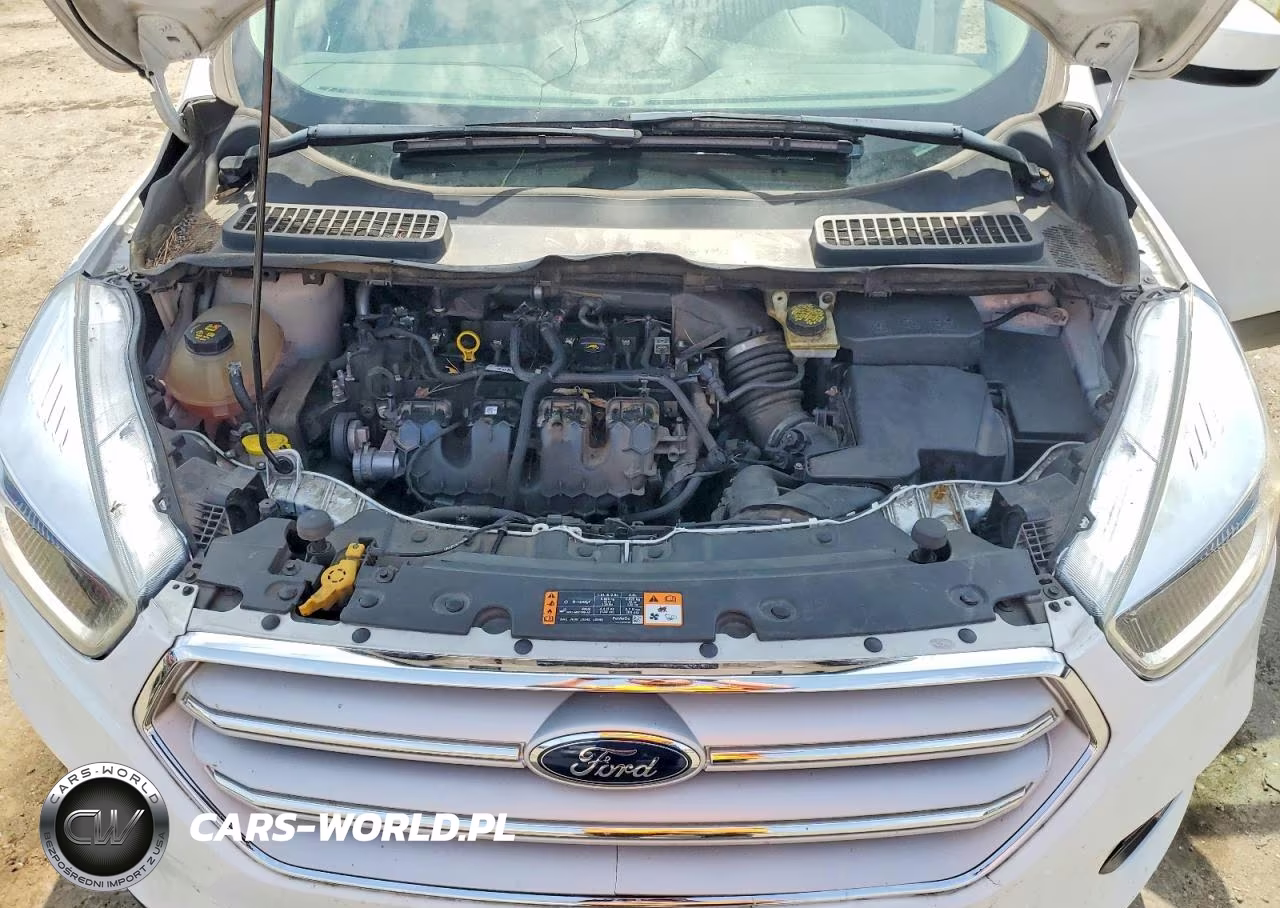 2019 Ford Escape Se VIN:1FMCU9G97KUC08667 - 12