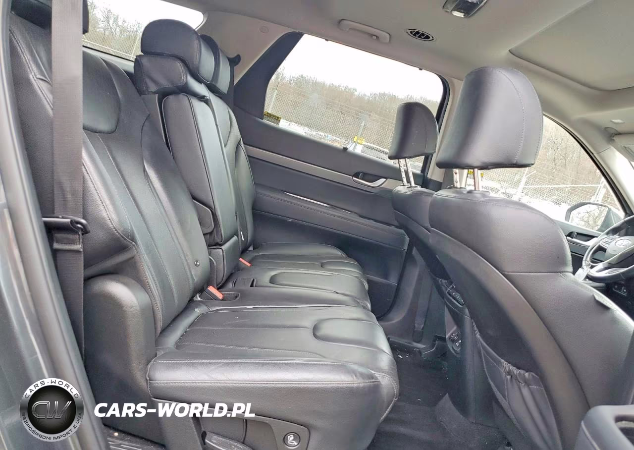 2021 Hyundai Palisade Sel VIN:KM8R44HE8MU224064 - 10