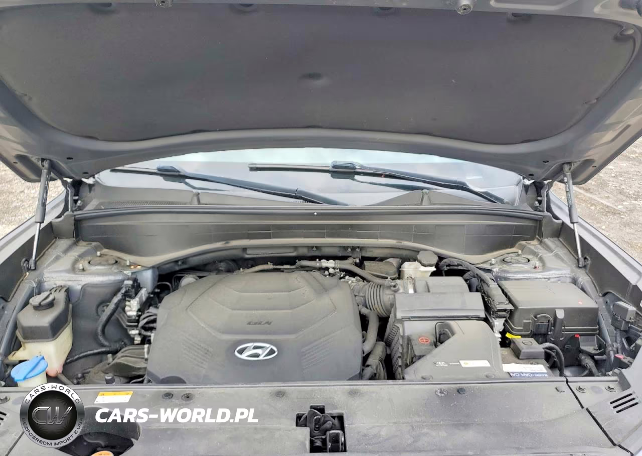 2021 Hyundai Palisade Sel VIN:KM8R44HE8MU224064 - 11