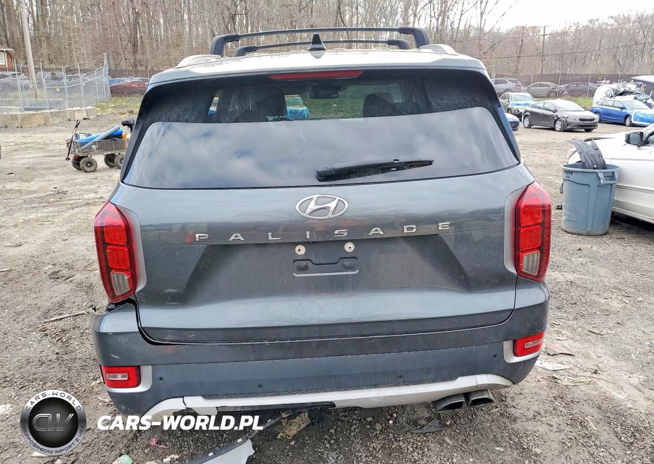 2021 Hyundai Palisade Sel VIN:KM8R44HE8MU224064 - 6