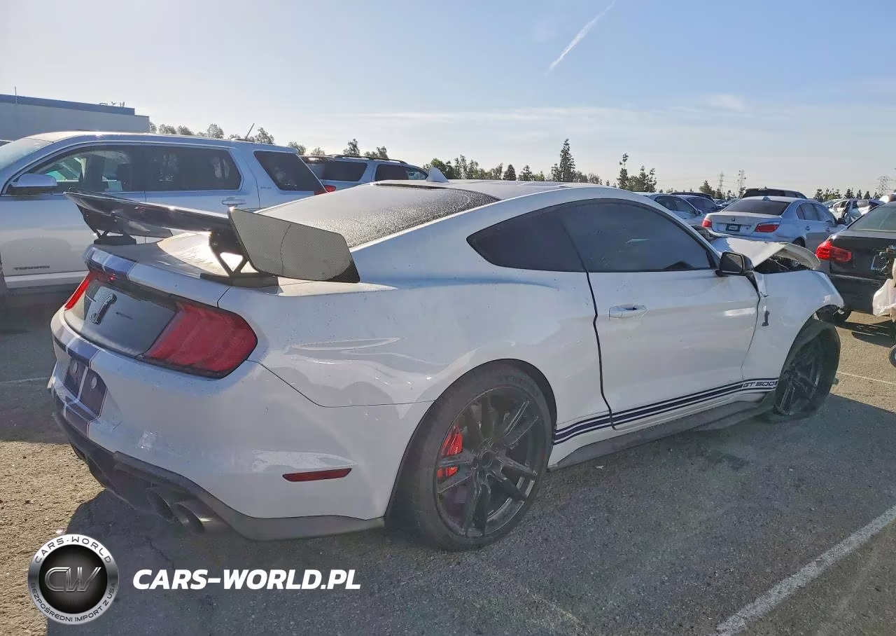 2020 Ford Mustang Shelby Gt500 VIN:1FA6P8SJ8L5505291 - 3
