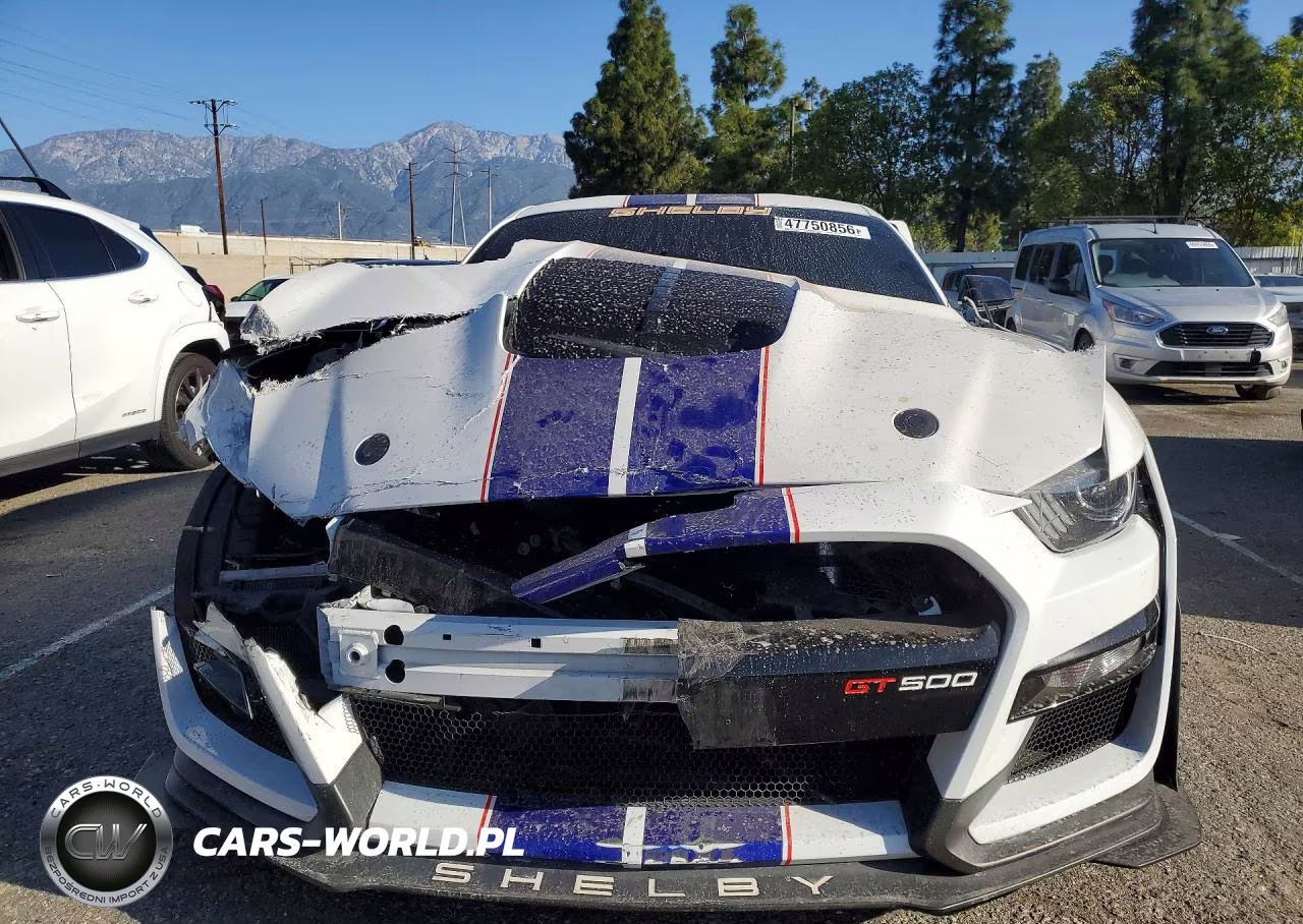 2020 Ford Mustang Shelby Gt500 VIN:1FA6P8SJ8L5505291 - 5